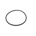 DIMENSION ONE SPAS® Light Body O-Ring
