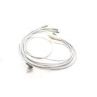 Rising Dragon Quad LED Pol - 2 Wire System