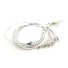 Rising Dragon Mini POL LED - Six