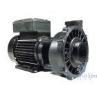Waterway 48F 2 Speed / 2hp / 2" Pump