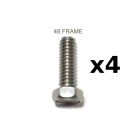 Waterway Wet End Screws x 4 (48 Frame)