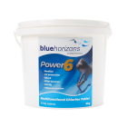 Blue Horizons Power6 Multifunctional Chlorine Tablets