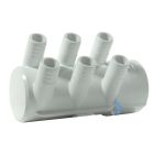 Waterway 1 x 2"female inlet + Dead End with 6 x 3/4"barbs
