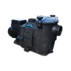 Hayward Pool Pump PP GF