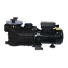 PSH Pool Pump Polypropylene 2"