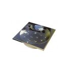 Certikin SS Fittings - Skimmer Lid & Frame For HD100