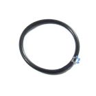 Waterway Filter Lid O-Ring