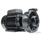 Waterway 48F Hi FLO / 2 Speed / 2hp / 2" Pump