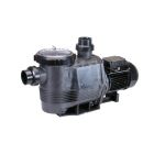 Waterco Hydrostorm Plus Pumps