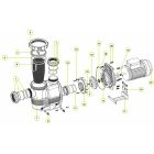 Waterco Spare Parts for Hydrostorm Plus Pumps