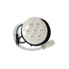 SpaQuip / Davey 5" Variable Colour LED
