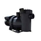 Astral Pool Victoria Plus New Generation Pump