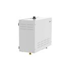 Tylo Steam Commercial Generator