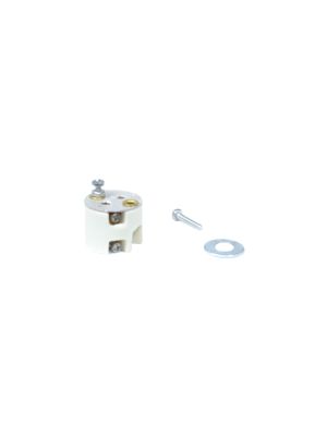 Astral Pool Halogen Bulb 100W 12V Bulb Holder