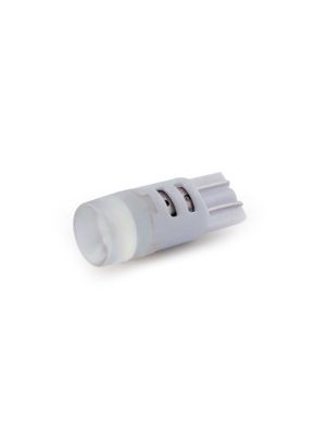 Gecko LED Light 12V