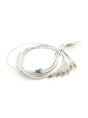 Rising Dragon Mini POL LED - Six