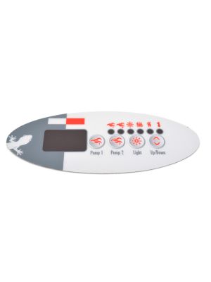 Gecko Overlay TSC9 - 2 pump