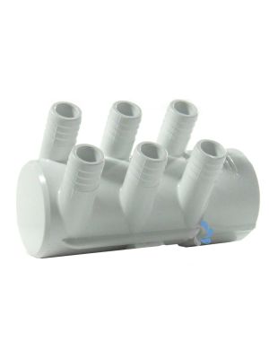 Waterway 1 x 2"female inlet + Dead End with 6 x 3/4"barbs