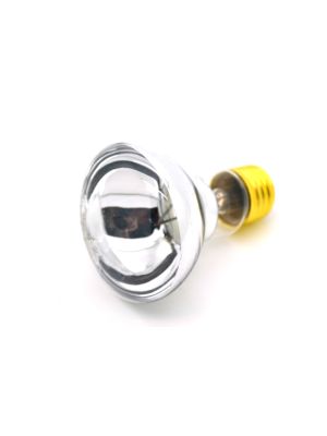 Certikin 100W Amprod Spa Bulb