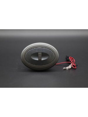 Flat Oval Speaker