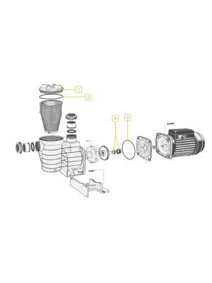 Aquaspeed Pump Spare Parts