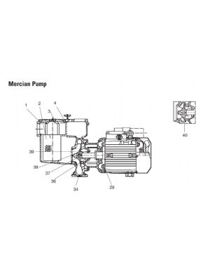 Spare Parts for Mercian Calpeda Pumps