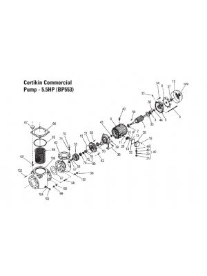 Certikin Spare parts for Commercial Pump 5.5HP (BP553)