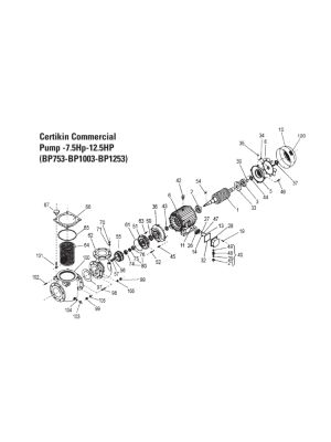 Certikin Spare parts for Commercial Pump 7.5HP-12.5HP (BP753-BP1003-BP1253)