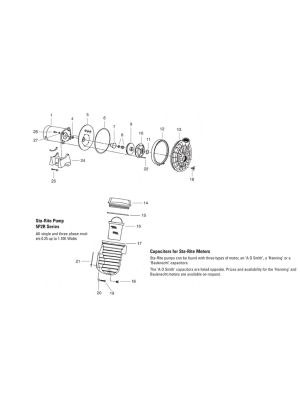 Starite Spare Parts for Duraglass Pumps