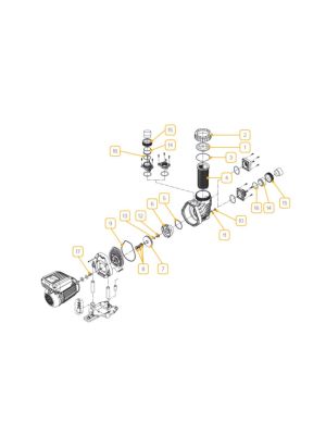 Speck Badu Easyfit Eco VS Pump Spare Parts