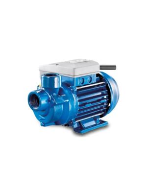 Foras Centrifugal Pump - 1" - 8 Bar