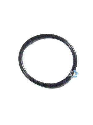 Waterway Filter Lid O-Ring