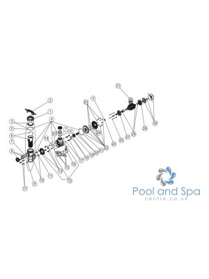 Astral Pool Spare Parts For Maxim Pump