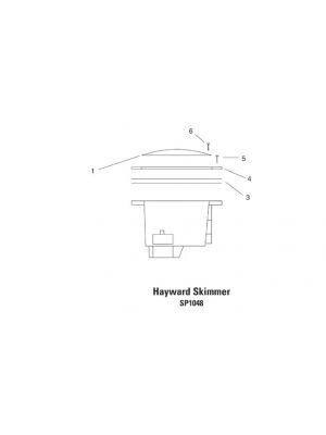 Hayward Liner Main Drain - Spare Parts