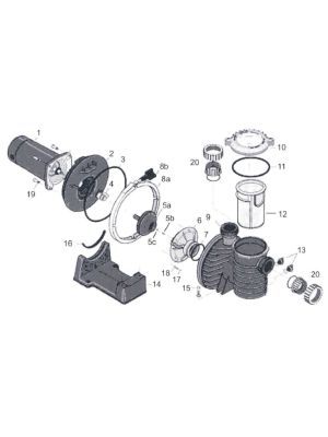 Starite Spare Parts for 5P6R Pumps