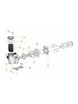 Spare Parts For Hayward Super Pump II Pumps