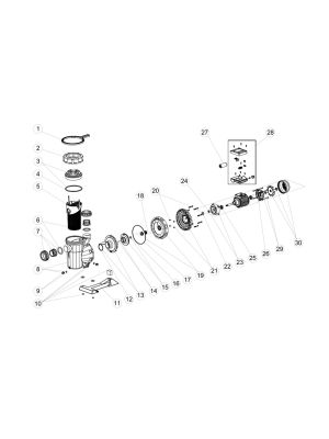 Astral Pool Victoria & Sprint Pump Spare Parts