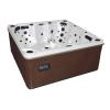 Category Hot Tubs & Swim Spas image